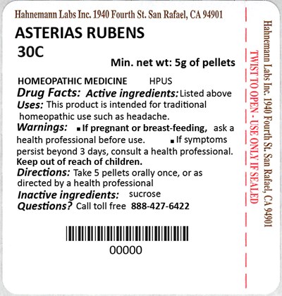Asterias Rubens 30C 5g.jpg Asterias Rubens 30C 5g - Asterias Rubens 30C 5g